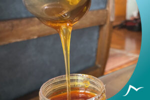 Discovering the World of Bitter Honey of Nepal: Everything You Need to Know Discovering the World of Bitter Honey of Nepal: Everything You Need to Know